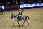 Quadrille - 00735